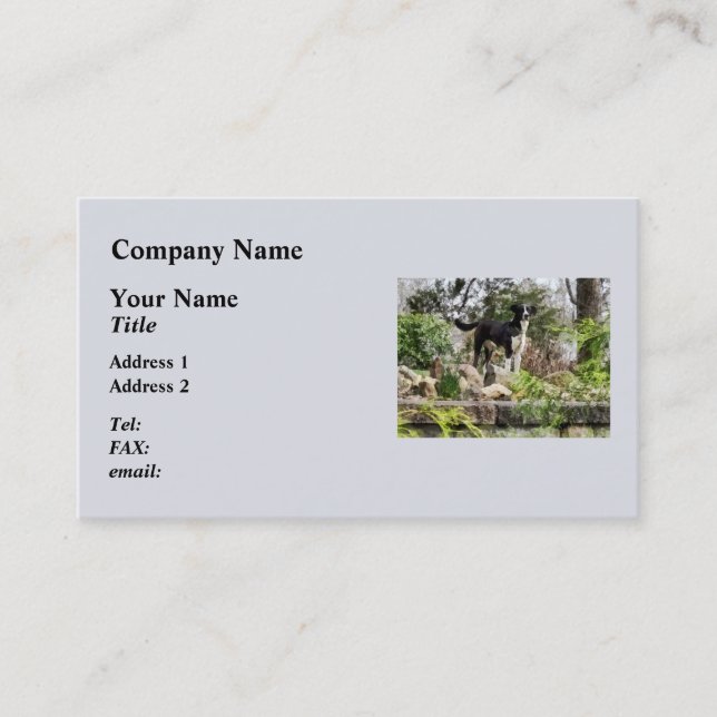Terrier Standing Guard Business Card (Front)