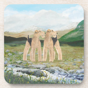 Terriers in Ireland Coaster