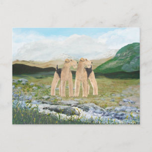 Terriers in Ireland Postcard