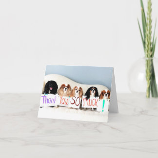 Terri's Thank You Card.jpg
