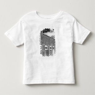 Territorial style architecture, Santa Fe, New Toddler T-Shirt