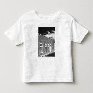 Territorial style architecture, Santa Fe, New Toddler T-Shirt