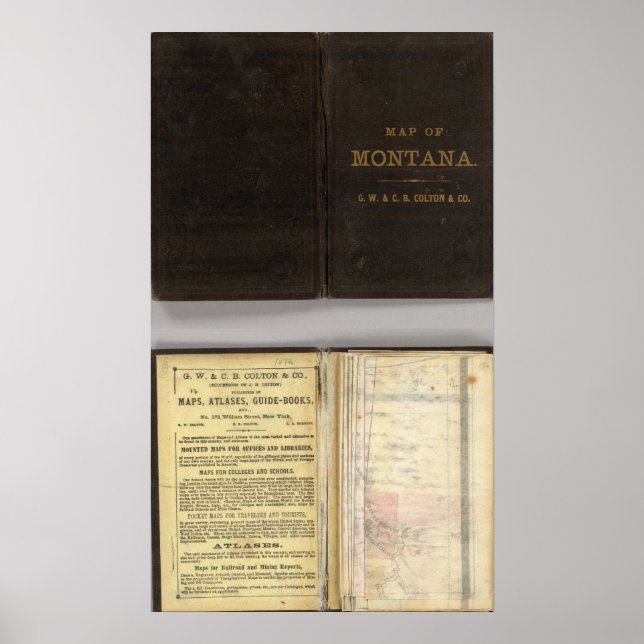 Territory of Montana Poster (Front)