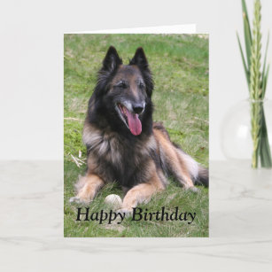 Belgian Shepherd Gifts & Gift Ideas | Zazzle UK