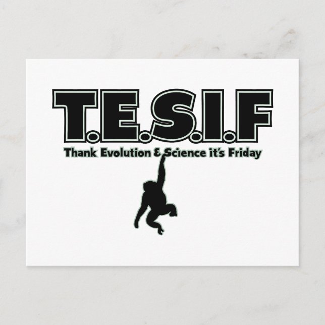 TESIF POSTCARD (Front)