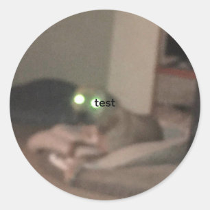 test classic round sticker