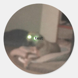 test classic round sticker