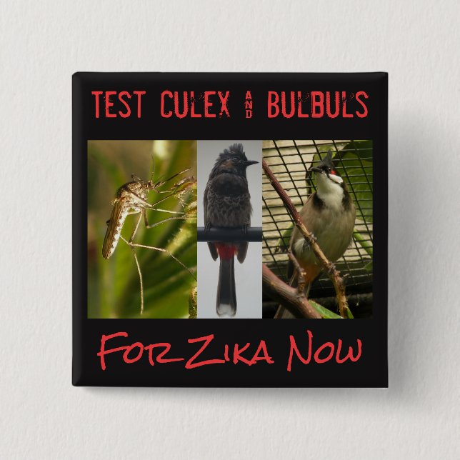 Test Culex & Bulbuls Button by RoseWrites (Front)