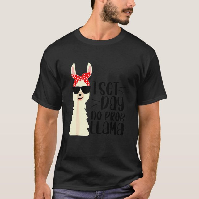 Test Day Llama Teacher Exam Testing Teaching T-Shirt (Front)