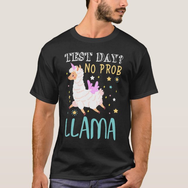 Test Day No Prob Llama Teacher Exam Testing Teachi T-Shirt (Front)