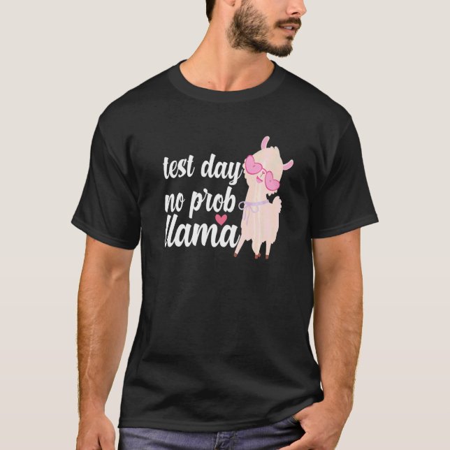 Test Day No Prob Llama  Women Teacher State Testin T-Shirt (Front)
