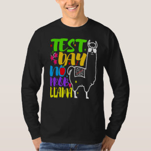 Test Day No Probllama Test Day For Teachers Rainbo T-Shirt