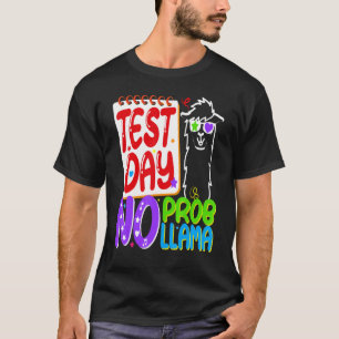 Test Day No Probllama Test Day For Teachers Rainbo T-Shirt