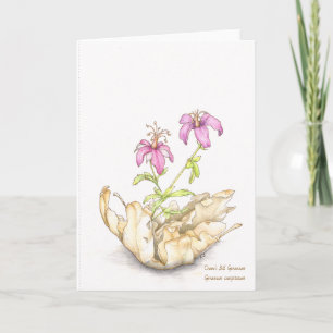 test geranium card with text in Zazzle