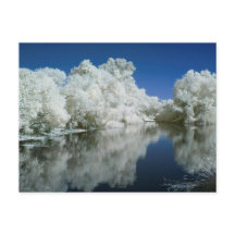 Test Post Card
