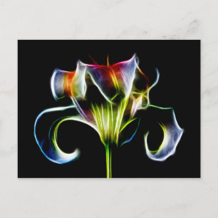 Test Post Card