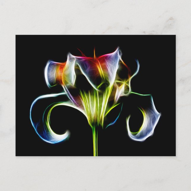 Test Post Card (Front)