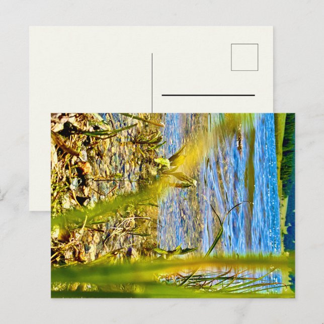 Test Postcard (Front/Back)
