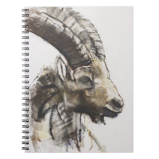 Testa 2005 notebook (Front)