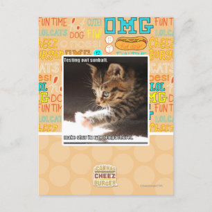 Testing owt sunbaff postcard