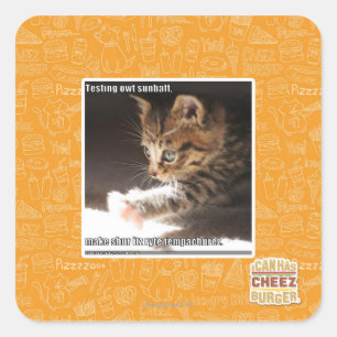 Testing owt sunbaff square sticker