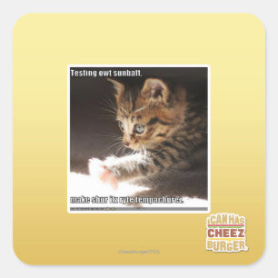 Testing owt sunbaff square sticker