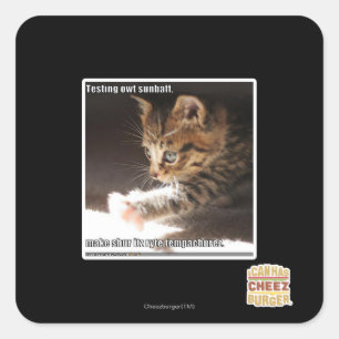 Testing owt sunbaff square sticker