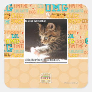 Testing owt sunbaff square sticker