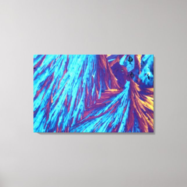 Testosterone crystals canvas print (Front)