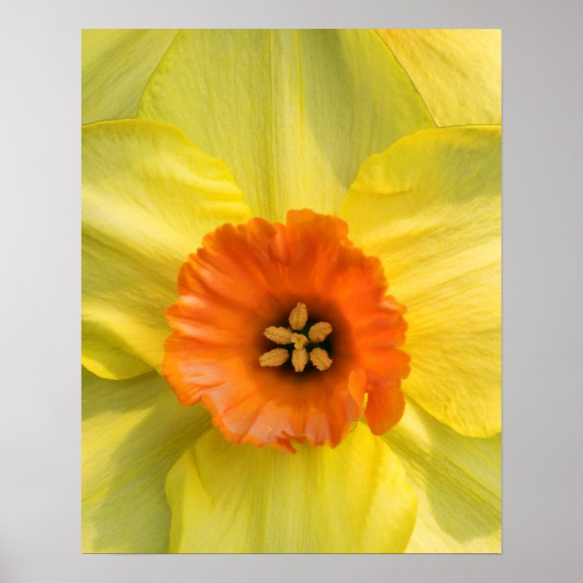 Tête à tête poster (Front)