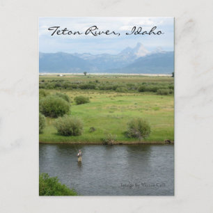 Teton River, Idaho Fisherman Postcard