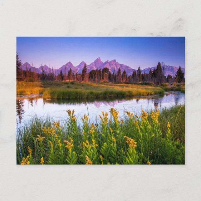 Teton Sunrise Postcard (Front)