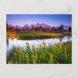 Teton Sunrise Postcard