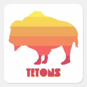 Tetons Bison Square Sticker