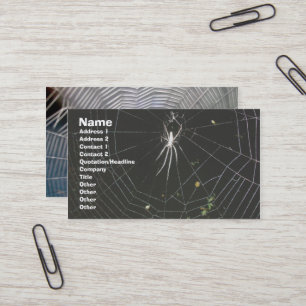 Tetragnathid Orb Weaver Spider Business Card