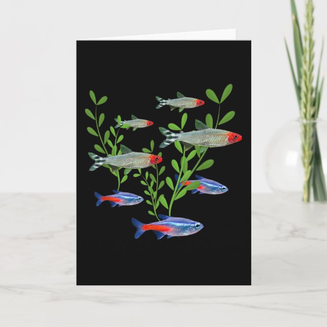 Tetras Aquarium Neon Tetras Rummy Nose Tetras Fish Card (Front)
