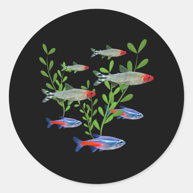 Tetras Aquarium Neon Tetras Rummy Nose Tetras Fish Classic Round Sticker (Front)