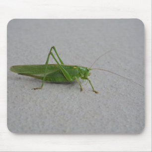 Tettigonia viridissima mouse mat