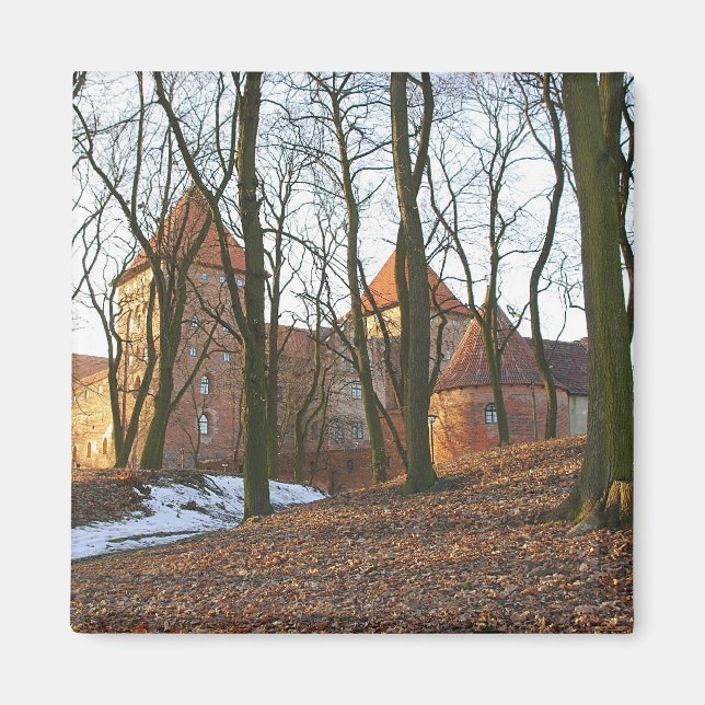 Teutonic Order castle Neidenburg - Magnet (Front)