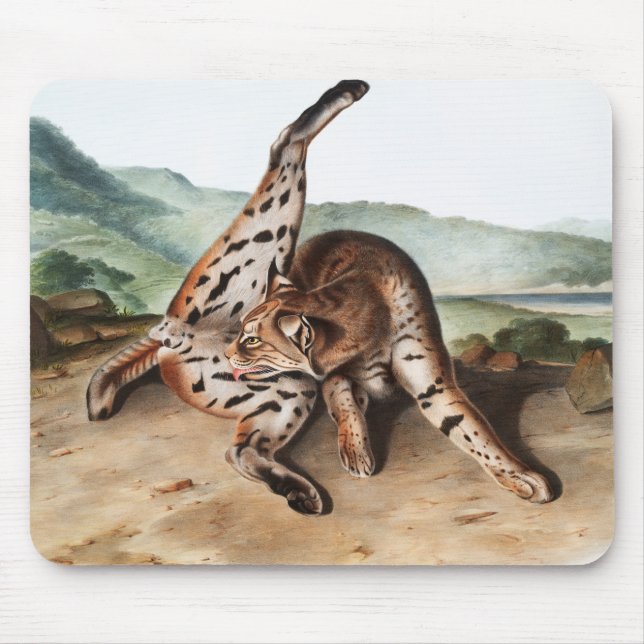 Texan Lynx Cleaning Body Camping Deco Gifts Mouse Mat (Front)