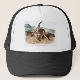 Texan Lynx Cleaning Body Camping Deco Gifts Trucker Hat