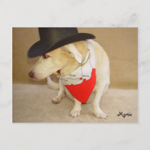 Texan Myrtie Postcard