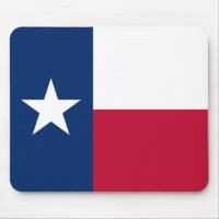 Texan State Flag (Texas)