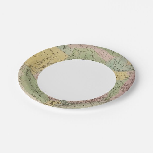 Texas 14 paper plate (Angled)