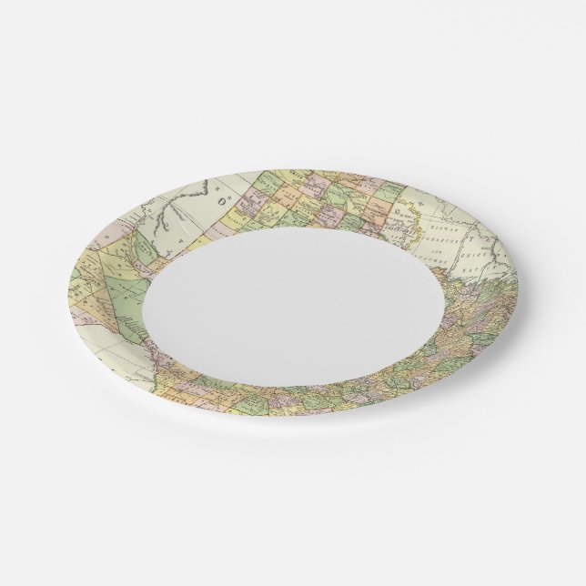 Texas 15 paper plate (Angled)