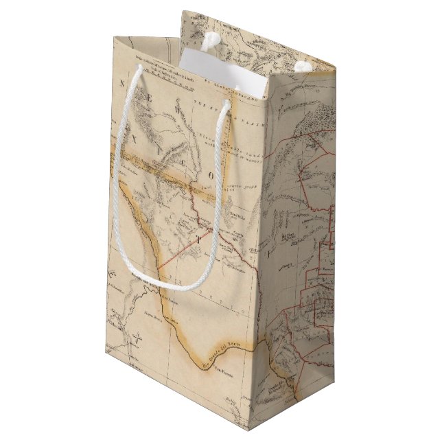 Texas 4 small gift bag (Back Angled)