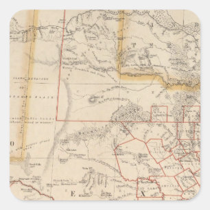 Texas 4 square sticker