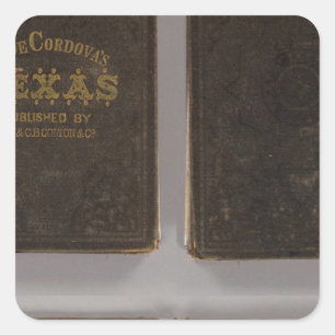 Texas 6 square sticker