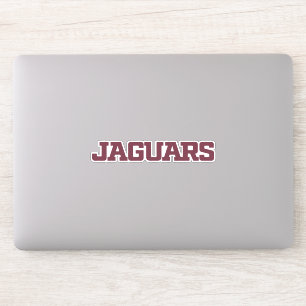 Texas A&M University-San Antonio Jaguars