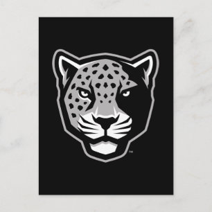 Texas A&M University-San Antonio   Jaguars Postcard